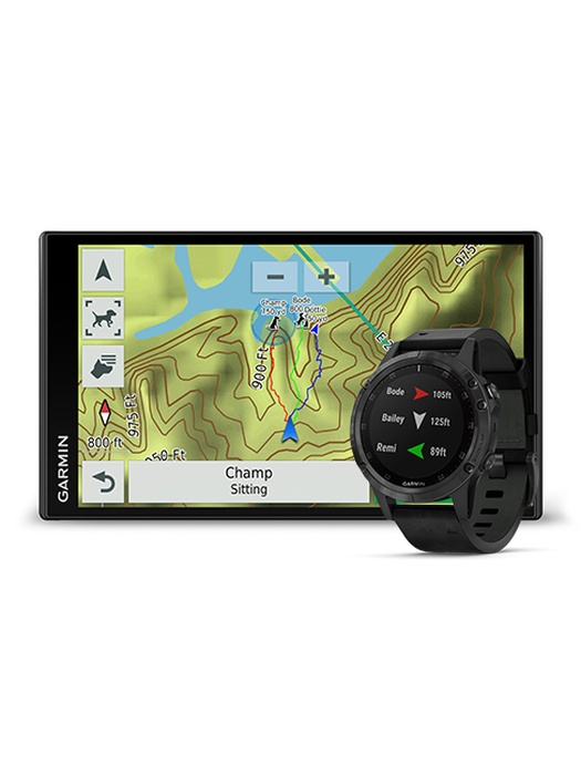 фото GPS-ошейник Garmin Astro 900 с ошейником Garmin T9